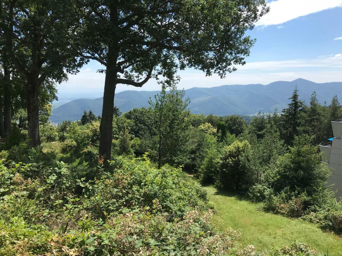 Le Belvedere - Gites Marck Turckheim Exterior foto